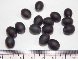 Amethyst Beads 15