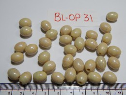 BL-OP-31 Glass Beads 