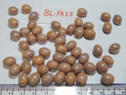 BL-PA-28 Glass Beads