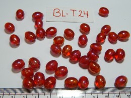 BL-T-24 Glass Beads 
